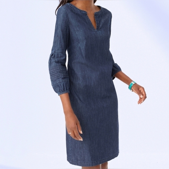 Talbots striated denim shift dress 6P - Picture 1 of 7